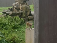 -上方山森林动物世界