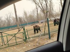 -秦皇岛野生动物园
