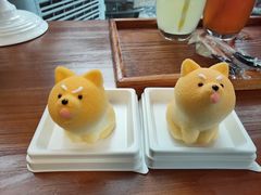 -柴犬高等学院·狗咖·柴犬售卖·宠物训练