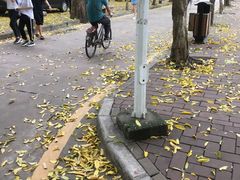 -花椒笑成都小馆(百脑汇店)