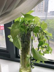 -尚艺造型.剪烫染.接发