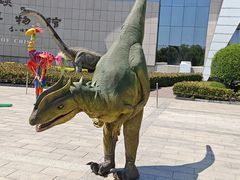 -中国西峡恐龙遗迹园