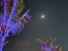 -白沙门生态公园