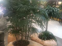 -天虹购物中心(深圳龙华店)