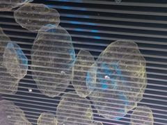 -博林天瑞喜来登酒店·西丽尚膳