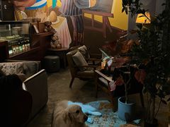 -咖法森林·咖啡  酒吧(天河店)