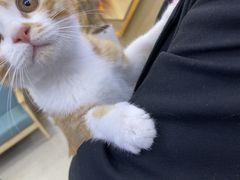 -爱派特动物医院·全科诊疗中心