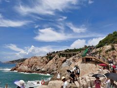 -广东惠东海龟国家级自然保护区