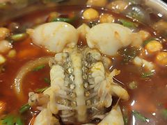 -鸿顺老铁锅美蛙鱼府(解放碑店)