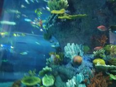 -福州罗源湾海洋世界旅游区