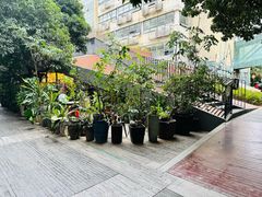 -旧天堂书店(华侨城创意文化园南山特色文化街区店)