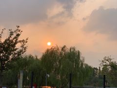 -九科绿洲