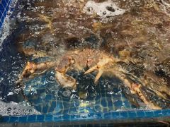 -东海怡品海鲜豆捞(星街坊店)