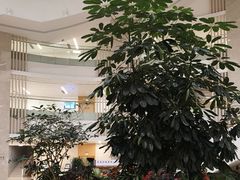 -厦门市图书馆(集美新城馆区)