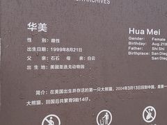 -都江堰中华大熊猫苑