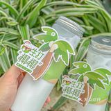 夏天的快乐！！椰椰椰