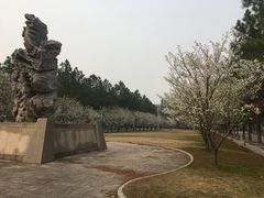 -同济大学(嘉定校区)