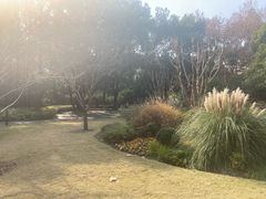 -徐家汇源景区-衡山公园