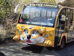 -栾川竹海野生动物园