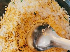 -探窝·竹笙椰子鸡(杨箕店)