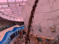 -陕西自然博物馆