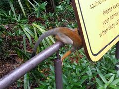 android_upload_pic-河川生态园