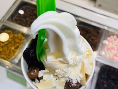 冻酸奶-Salud撒露欧洲冻酸奶(蓝色港湾店)