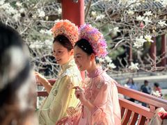 -碑林公园
