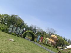 -动邦皮划艇·桨板·独木舟·团建户外运动俱乐部