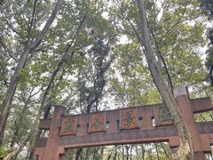 -灵谷景区