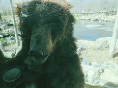 -北京野生动物园