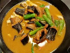 -不炭白烧烤(成都首店)