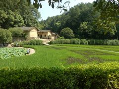 -韶山毛泽东同志故居