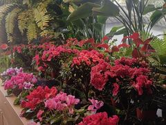 -慢丽江·云南野生菌土鸡锅(西山店)