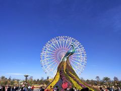 -七彩云南欢乐世界