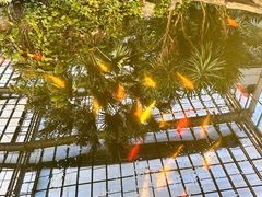 -龙达温泉生态城