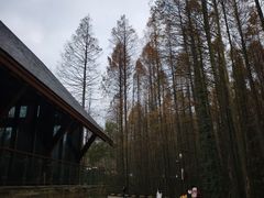 -山王坪喀斯特国家生态公园
