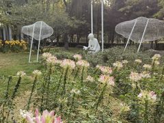 -石家庄市植物园