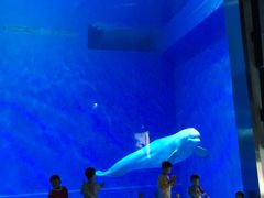 -芜湖方特东方神画
