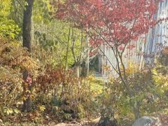 -汤沐邑温泉会馆