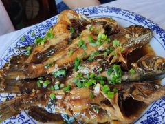 红烧昂刺鱼-洞天食府(北大街店)