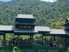 -紫云谷景区