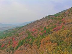 -红螺寺