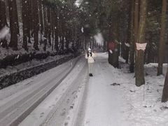 -武陵山森林公园