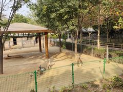 -石家庄市动物园