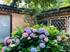 -范蠡湖公园