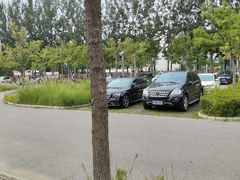-东郊湿地公园