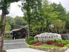 -东明山森林公园