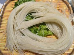-濠七糟粕醋•海南酸汤火锅(中关村店)