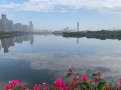 -厦门园林博览苑